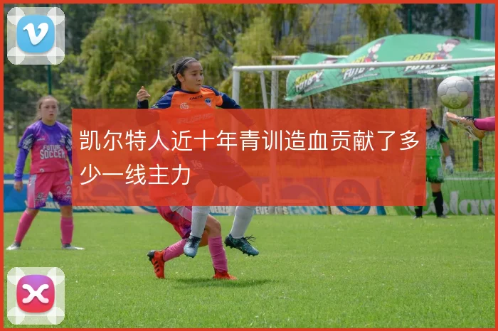 凯尔特人近十年青训造血贡献了多少一线主力