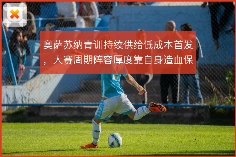 奥萨苏纳青训持续供给低成本首发，大赛周期阵容厚度靠自身造血保持